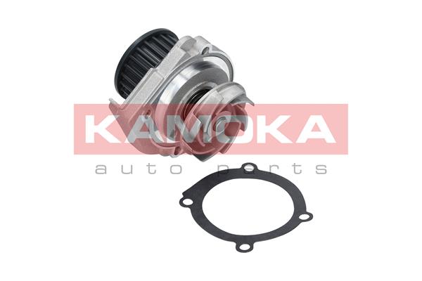 Water Pump - T0114 KAMOKA