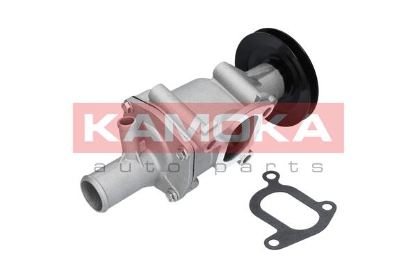 Pompa acqua - T0116 KAMOKA