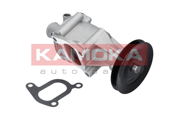 Water Pump - T0116 KAMOKA