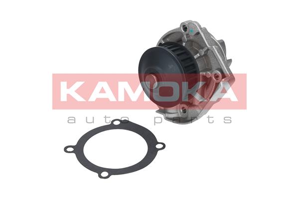 Pompa acqua - T0118 KAMOKA