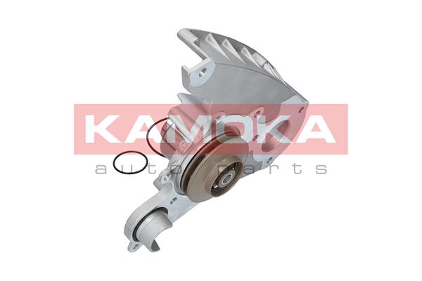 Water Pump - T0119 KAMOKA