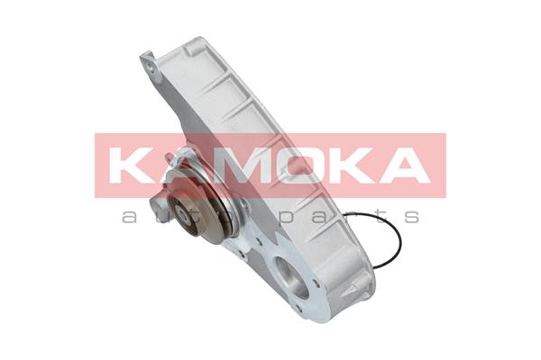 Water Pump - T0119 KAMOKA