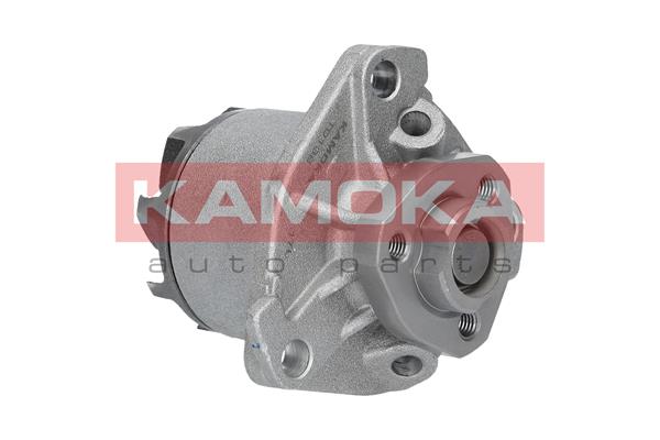 Pompa acqua - T0138 KAMOKA