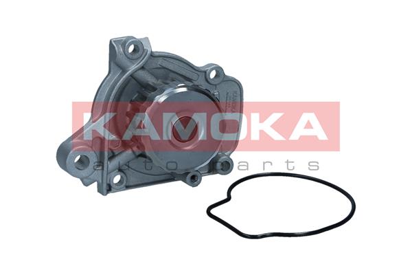 Pompa acqua - T0149 KAMOKA
