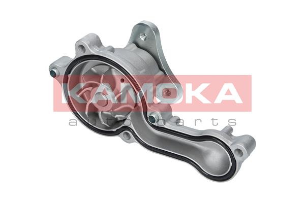 Water Pump - T0150 KAMOKA