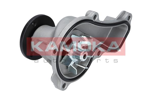 vandens siurblys - T0151 KAMOKA