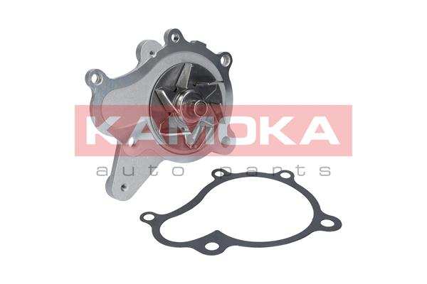 vandens siurblys - T0153 KAMOKA