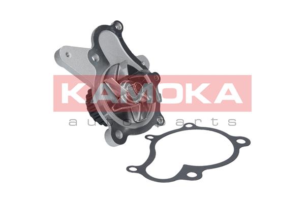 vandens siurblys - T0160 KAMOKA