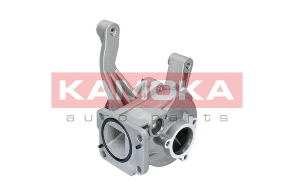 Pompa acqua - T0167 KAMOKA