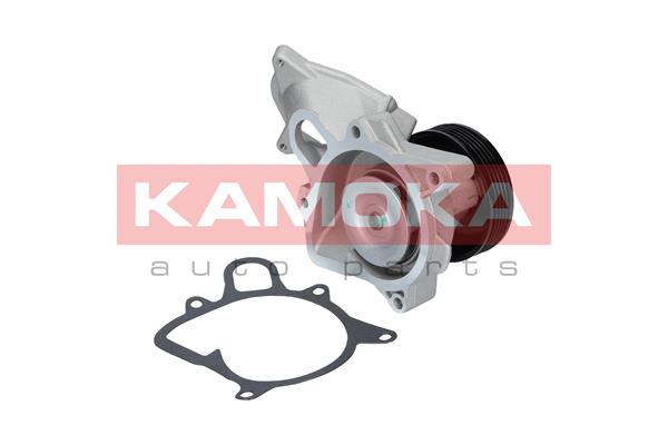 Water Pump - T0173 KAMOKA