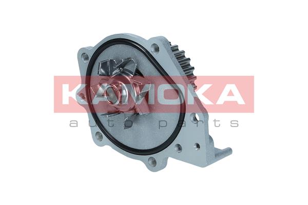 Water Pump - T0174 KAMOKA