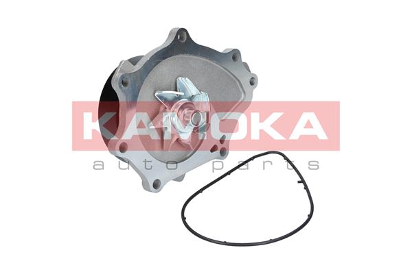vandens siurblys - T0176 KAMOKA