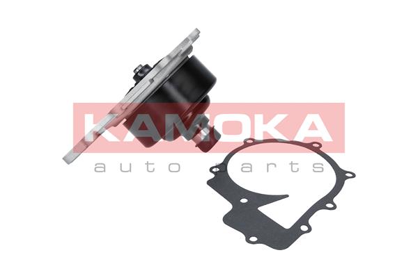 Water Pump - T0200 KAMOKA