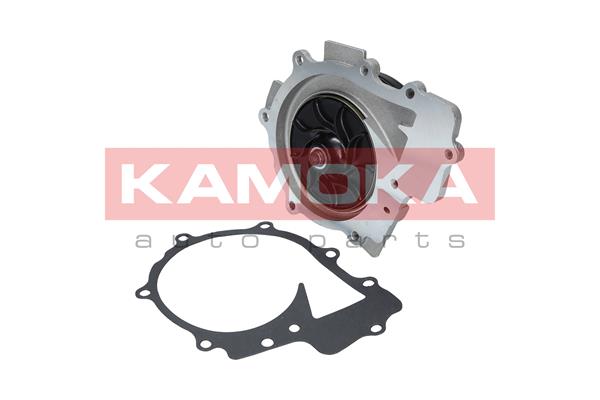 vandens siurblys - T0203 KAMOKA