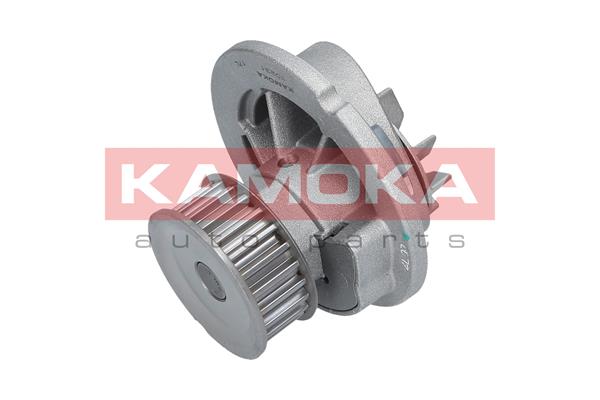 Water Pump - T0231 KAMOKA
