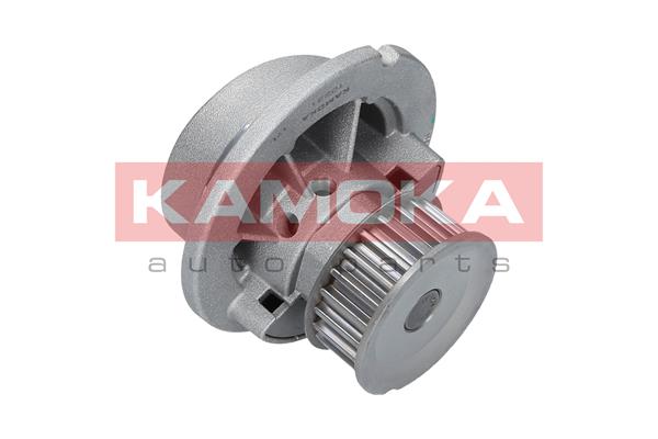 Water Pump - T0231 KAMOKA