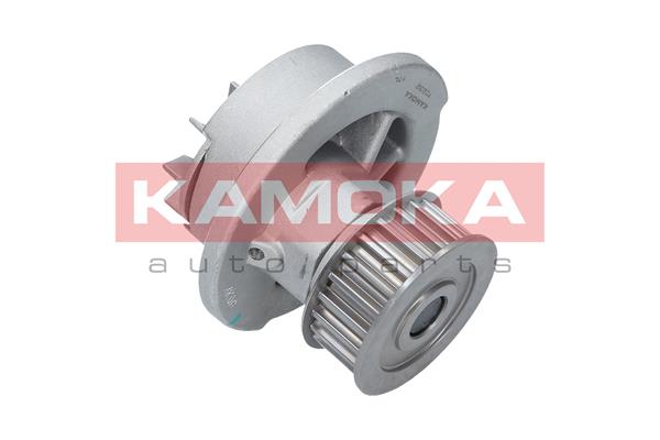 Water Pump - T0232 KAMOKA