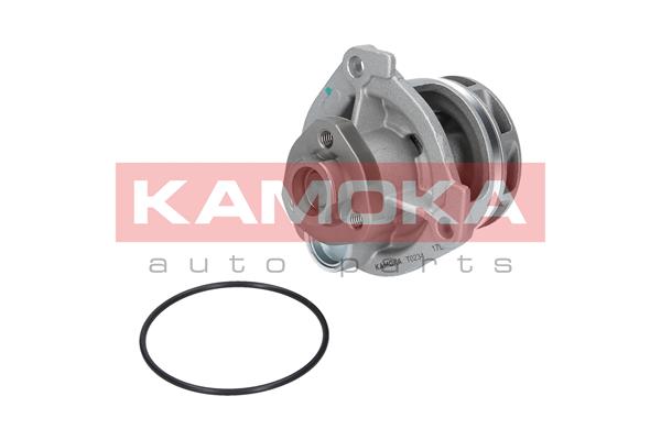 Water Pump - T0234 KAMOKA