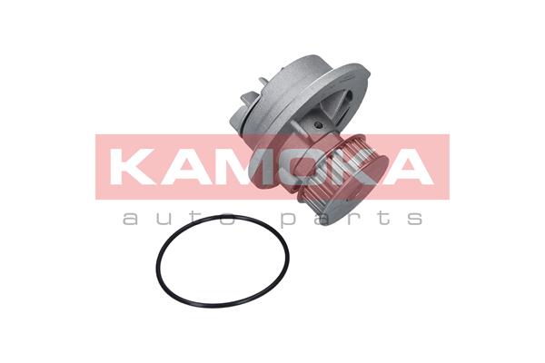 Water Pump - T0235 KAMOKA