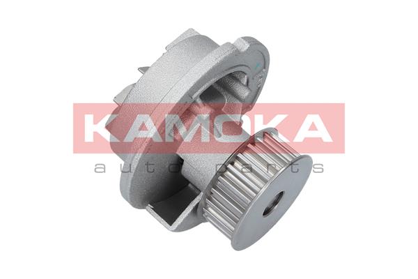 Water Pump - T0236 KAMOKA