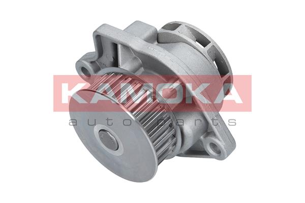 Water Pump - T0248 KAMOKA