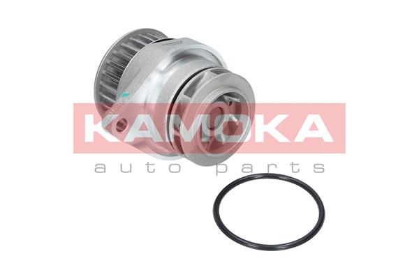vandens siurblys - T0249 KAMOKA