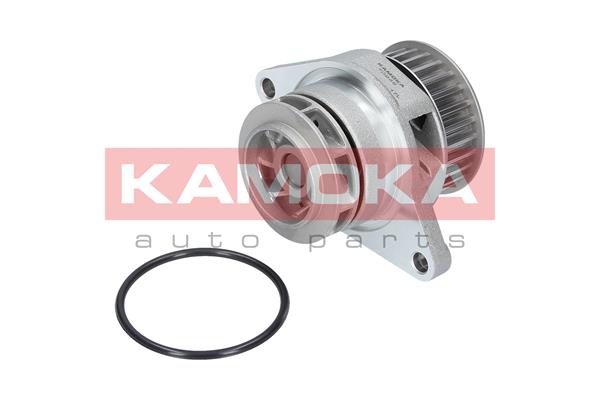 Water Pump - T0249 KAMOKA