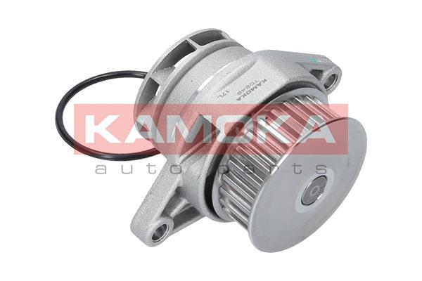 Water Pump - T0249 KAMOKA