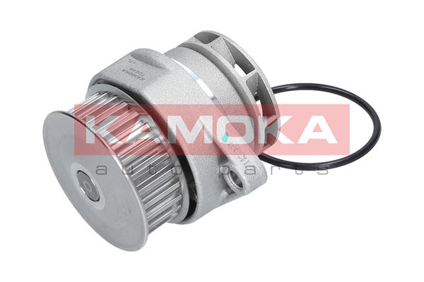 Water Pump - T0249 KAMOKA