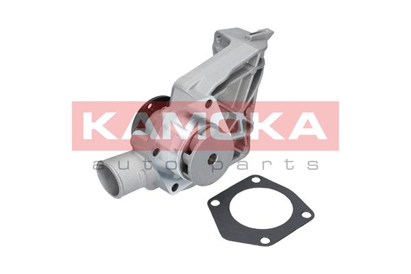 Pompa acqua - T0250 KAMOKA