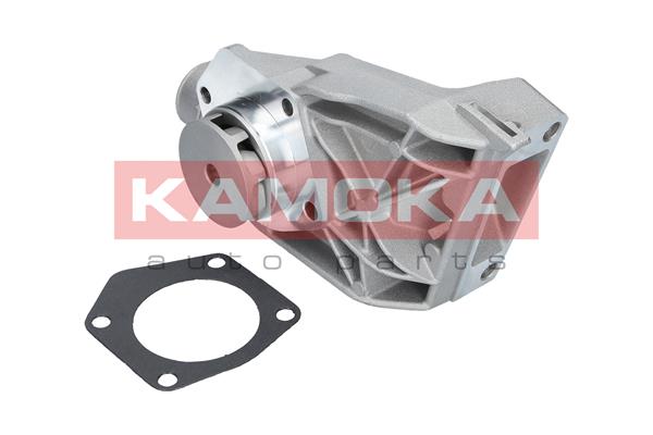 Water Pump - T0250 KAMOKA