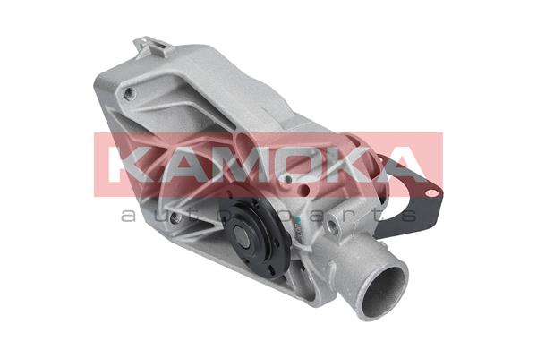 Water Pump - T0250 KAMOKA