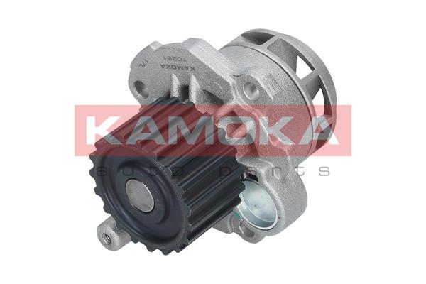 Water Pump - T0251 KAMOKA
