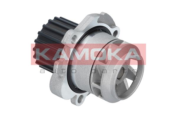 Water Pump - T0251 KAMOKA