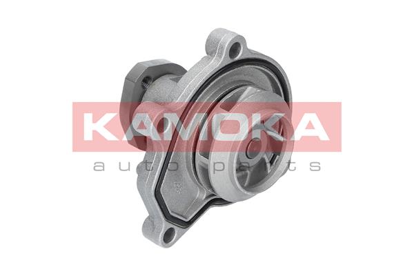 Pompa acqua - T0252 KAMOKA