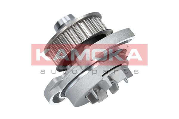 Pompa acqua - T0254 KAMOKA