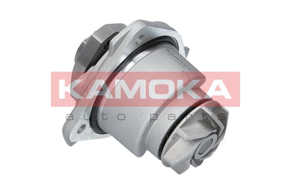 vandens siurblys - T0256 KAMOKA