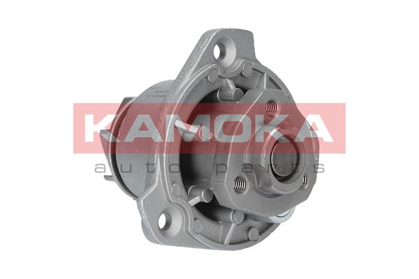vandens siurblys - T0256 KAMOKA