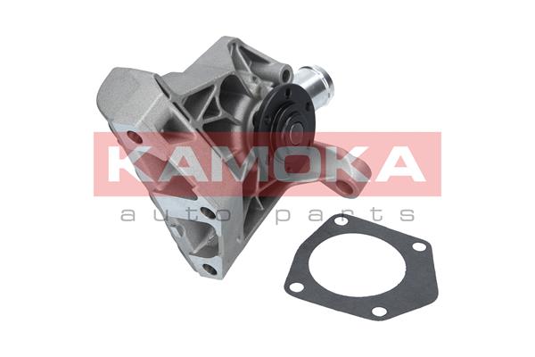 Water Pump - T0257 KAMOKA
