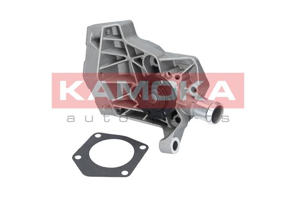 Water Pump - T0257 KAMOKA