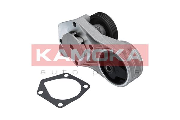 Water Pump - T0258 KAMOKA