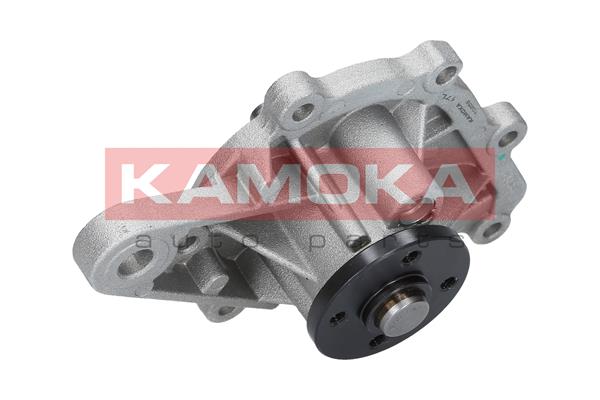 vandens siurblys - T0259 KAMOKA