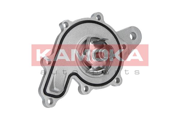 Water Pump - T0259 KAMOKA