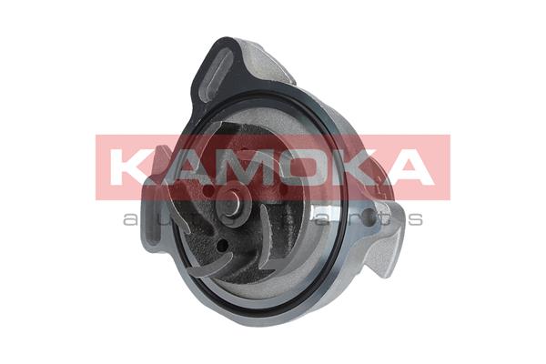 Pompa acqua - T0275 KAMOKA