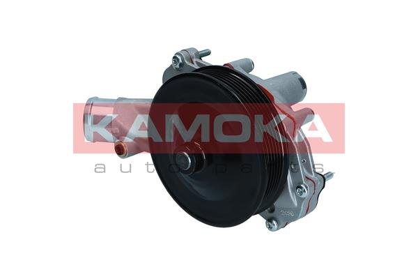 Pompa acqua - T0291 KAMOKA