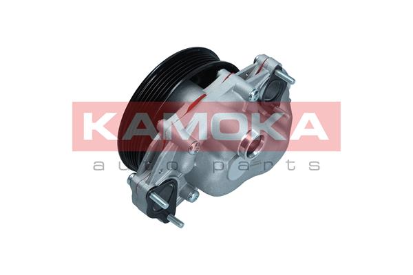 Water Pump - T0291 KAMOKA