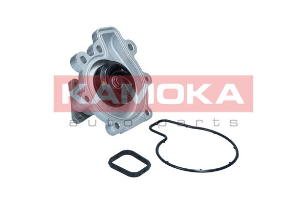 vandens siurblys - T0292 KAMOKA