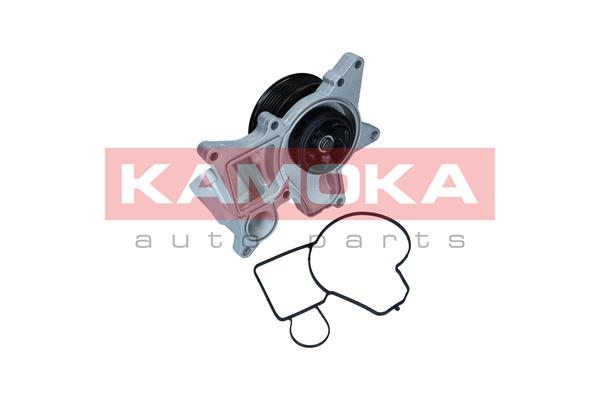 Water Pump - T0298 KAMOKA