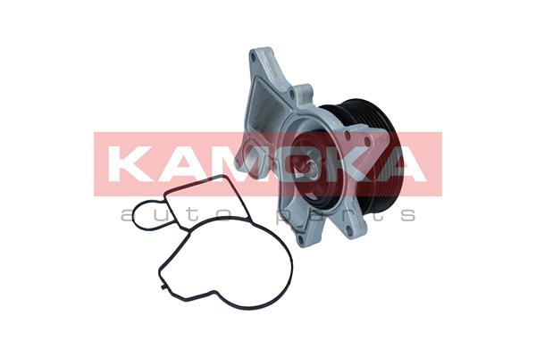 Water Pump - T0298 KAMOKA