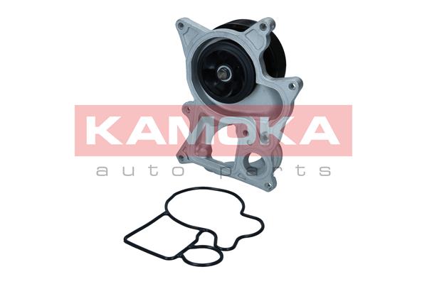 Pompa acqua - T0300 KAMOKA